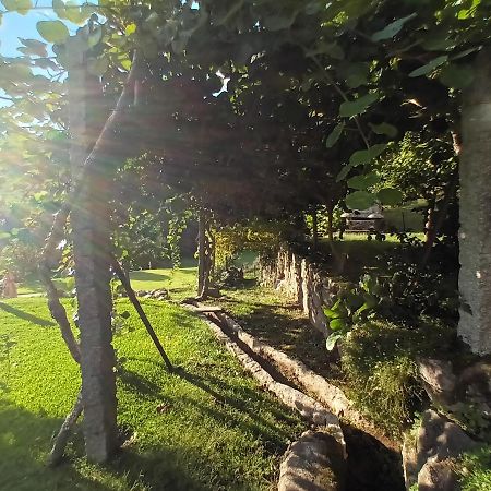 Quinta Da Chanca Паредеш-де-Кора Екстер'єр фото
