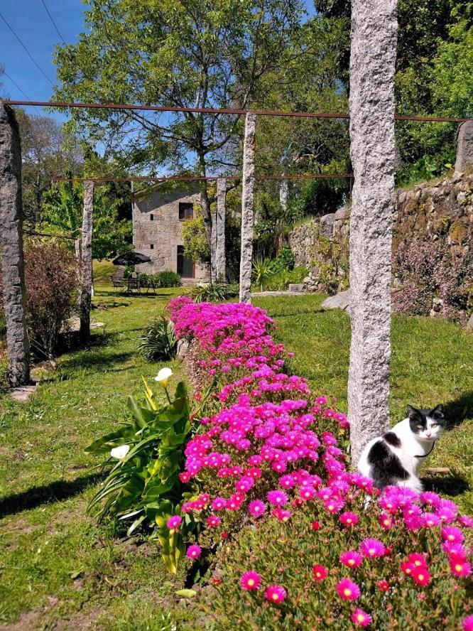 Quinta Da Chanca Паредеш-де-Кора Екстер'єр фото