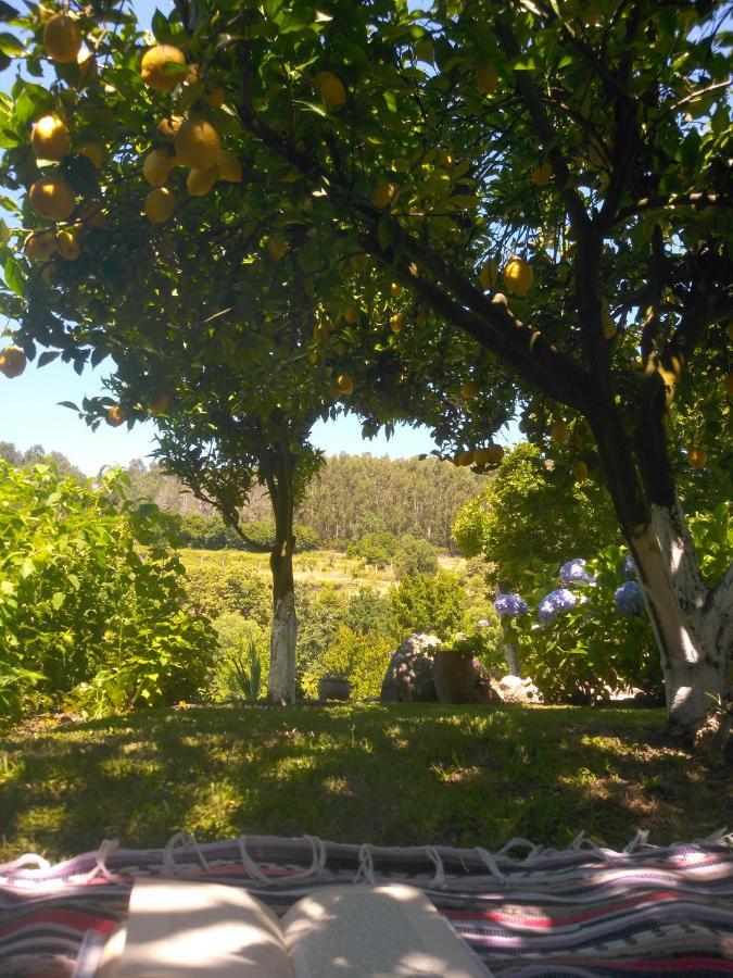 Quinta Da Chanca Паредеш-де-Кора Екстер'єр фото