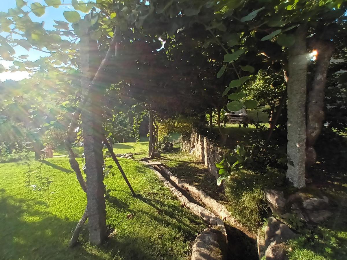 Quinta Da Chanca Паредеш-де-Кора Екстер'єр фото