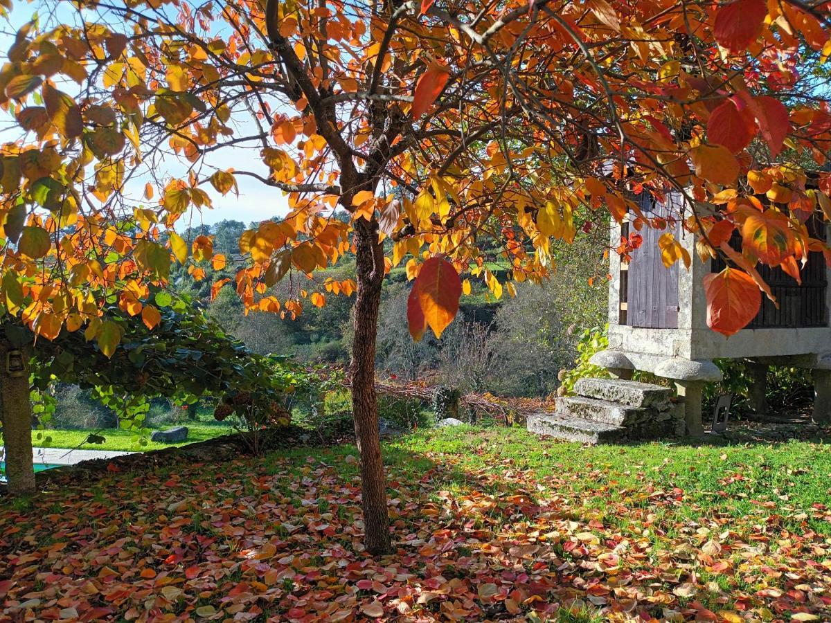 Quinta Da Chanca Паредеш-де-Кора Екстер'єр фото